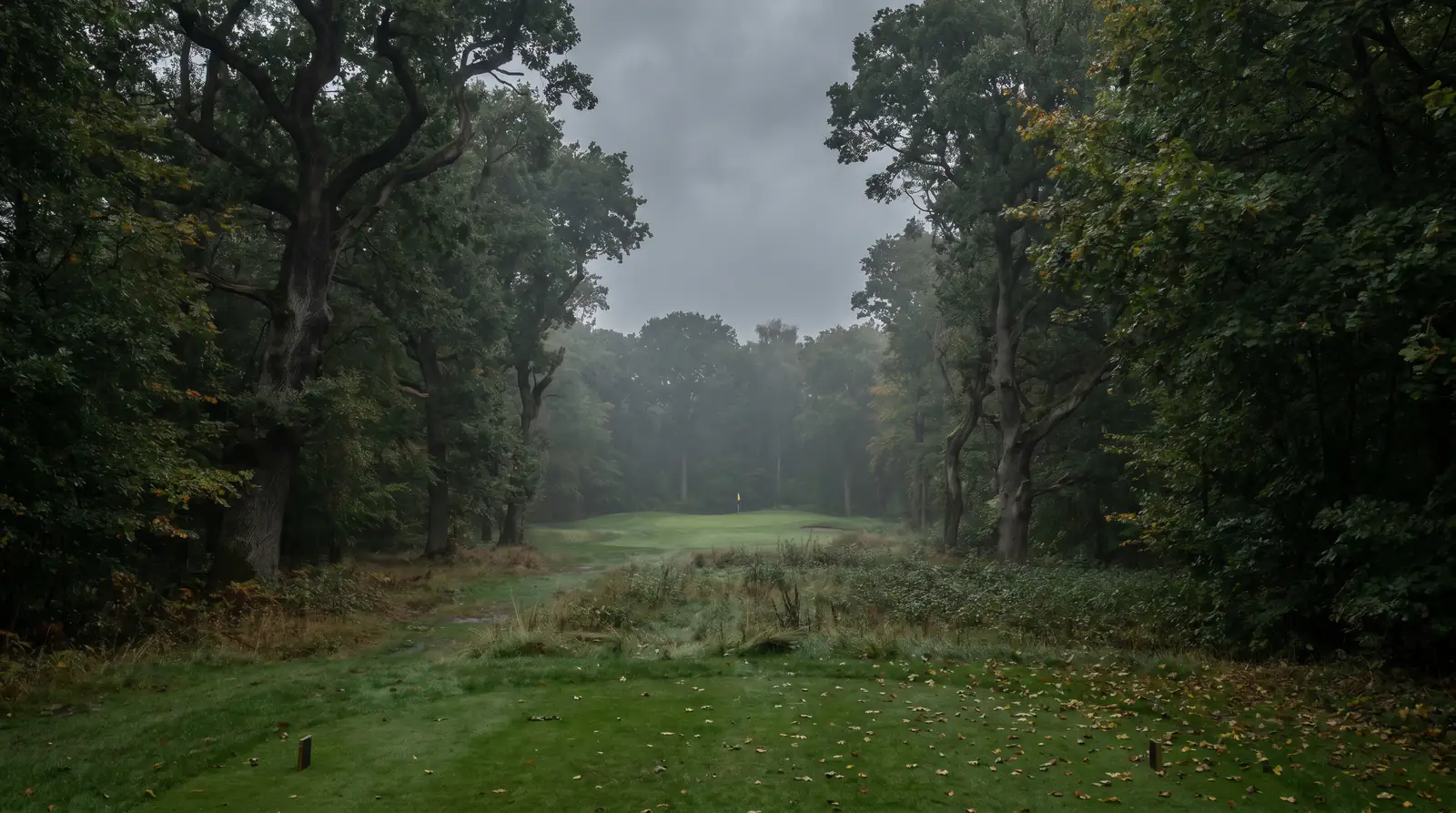 Narrow tree-lined fairway where driving distance becomes a liability rather than an edge